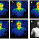 Illustration for article titled Human Bodies Glow, Proving That The World Is Weirder Than We Can Imagine